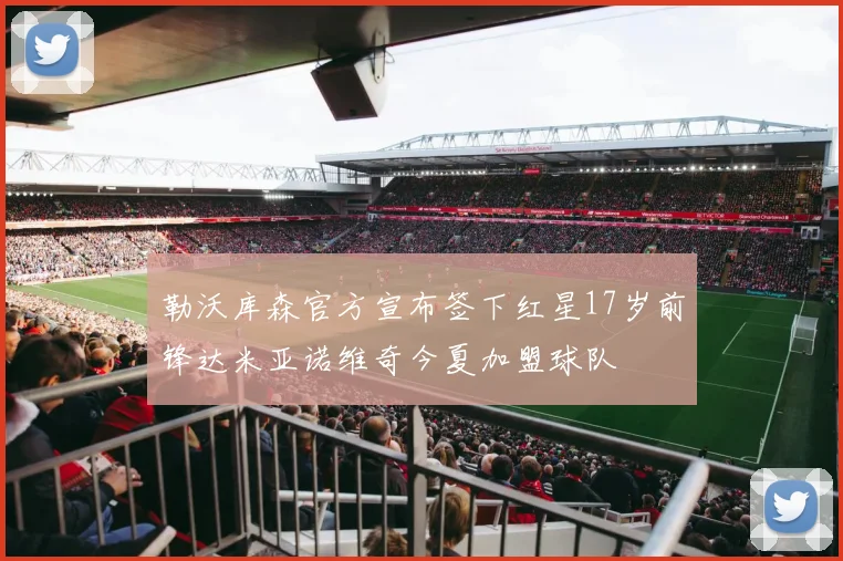 勒沃库森官方宣布签下红星17岁前锋达米亚诺维奇今夏加盟球队