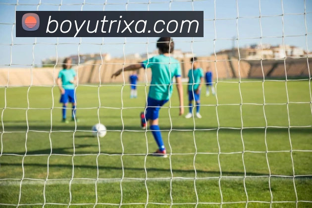 博鱼体育平台生态图