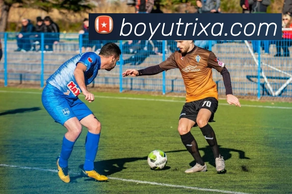 博鱼体育APP 封面图